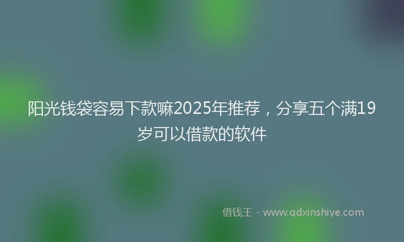 阳光钱袋容易下款嘛2025年推荐，分享五个满19岁可以借款的软件