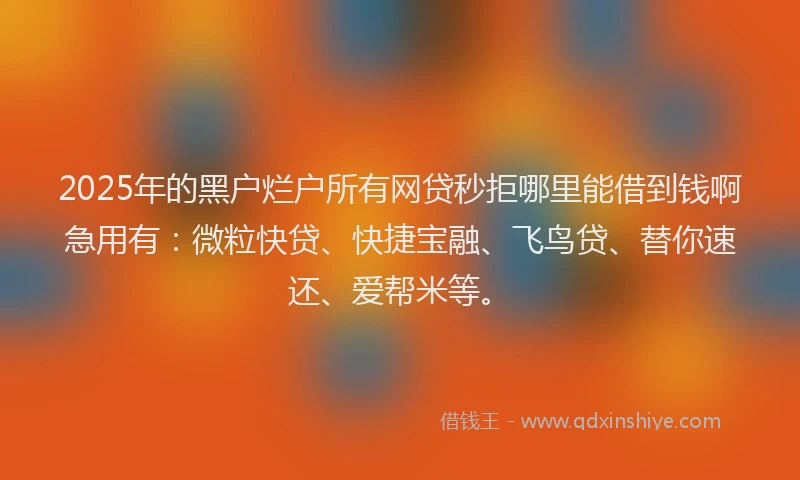 2025年的黑户烂户所有网贷秒拒哪里能借到钱啊急用有：微粒快贷、快捷宝融、飞鸟贷、替你速还、爱帮米等。