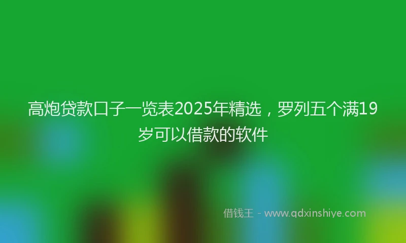 高炮贷款口子一览表2025年精选，罗列五个满19岁可以借款的软件