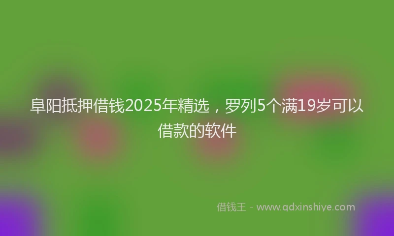 阜阳抵押借钱2025年精选，罗列5个满19岁可以借款的软件