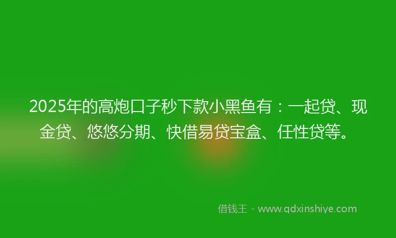 2025年的高炮口子秒下款小黑鱼有：一起贷、现金贷、悠悠分期、快借易贷宝盒、任性贷等。