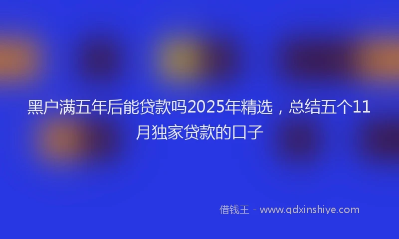 黑户满五年后能贷款吗2025年精选，总结五个11月独家贷款的口子