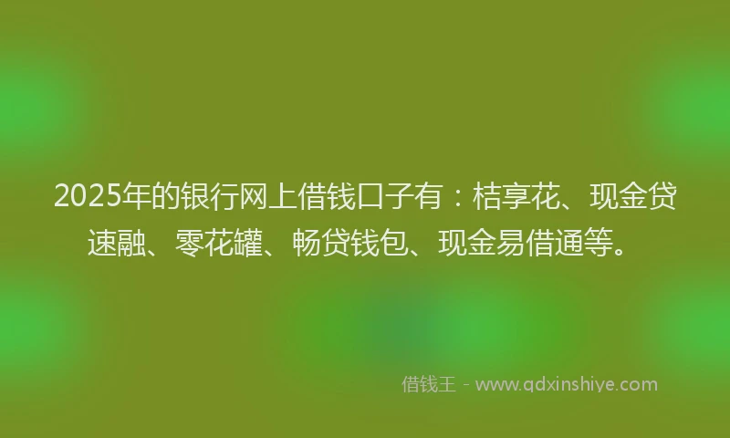 2025年的银行网上借钱口子有：桔享花、现金贷速融、零花罐、畅贷钱包、现金易借通等。