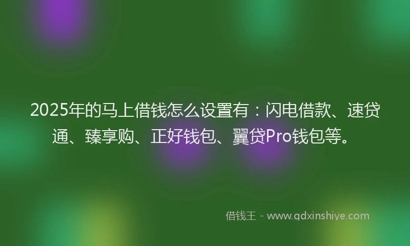 2025年的马上借钱怎么设置有：闪电借款、速贷通、臻享购、正好钱包、翼贷Pro钱包等。