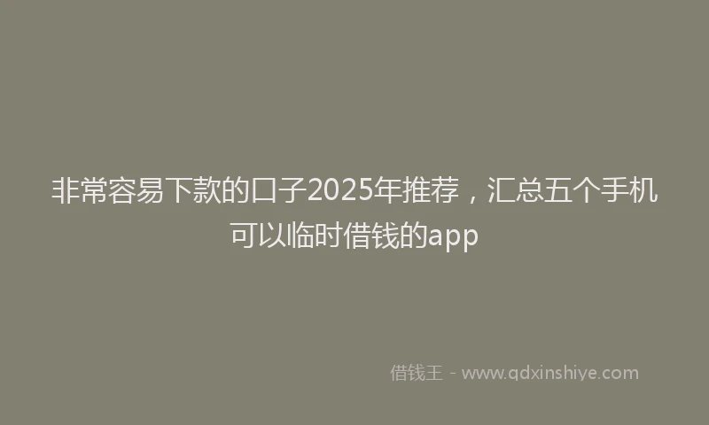 非常容易下款的口子2025年推荐，汇总五个手机可以临时借钱的app