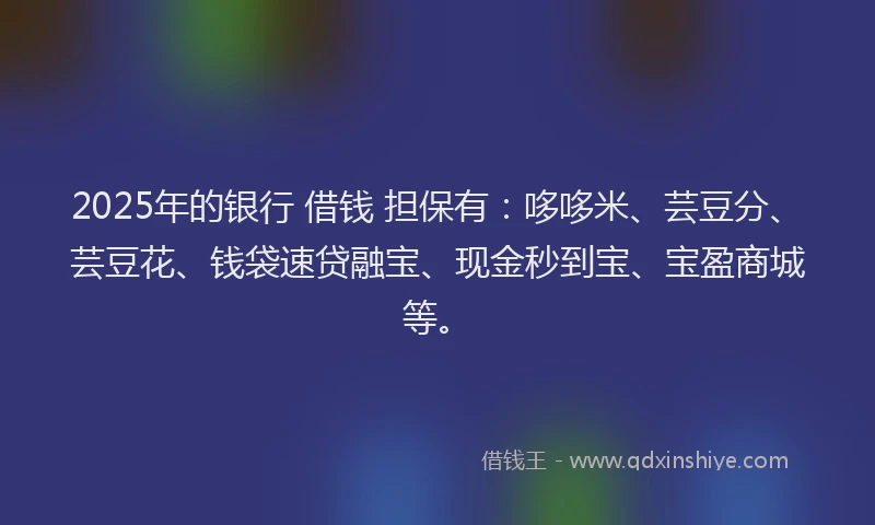 2025年的银行 借钱 担保有：哆哆米、芸豆分、芸豆花、钱袋速贷融宝、现金秒到宝、宝盈商城等。