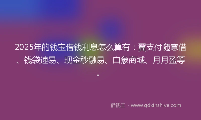 2025年的钱宝借钱利息怎么算有：翼支付随意借、钱袋速易、现金秒融易、白象商城、月月盈等。