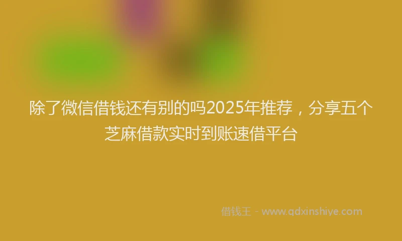 除了微信借钱还有别的吗2025年推荐，分享五个芝麻借款实时到账速借平台