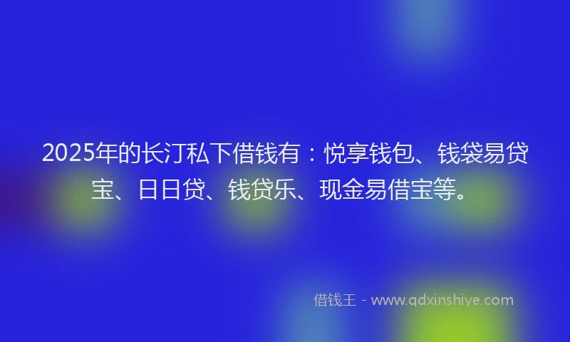 2025年的长汀私下借钱有：悦享钱包、钱袋易贷宝、日日贷、钱贷乐、现金易借宝等。