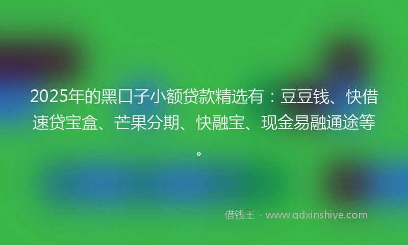 2025年的黑口子小额贷款精选有：豆豆钱、快借速贷宝盒、芒果分期、快融宝、现金易融通途等。