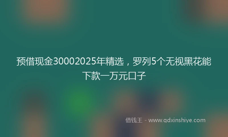 预借现金30002025年精选，罗列5个无视黑花能下款一万元口子