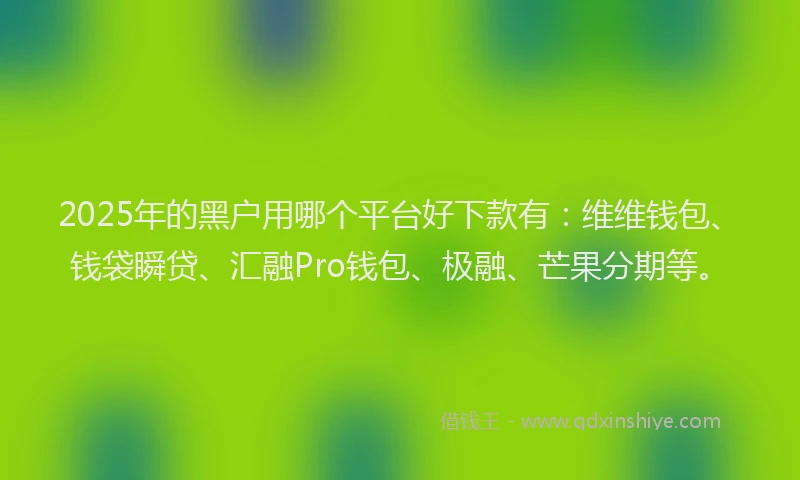 2025年的黑户用哪个平台好下款有：维维钱包、钱袋瞬贷、汇融Pro钱包、极融、芒果分期等。