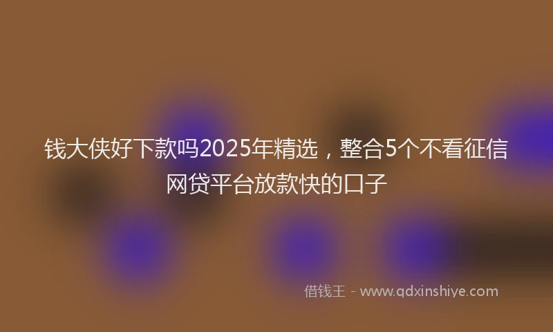 钱大侠好下款吗2025年精选，整合5个不看征信网贷平台放款快的口子