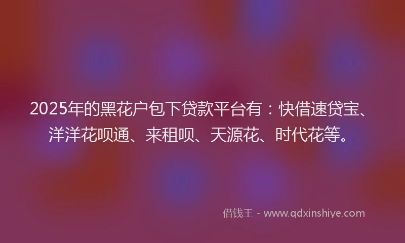 2025年的黑花户包下贷款平台有：快借速贷宝、洋洋花呗通、来租呗、天源花、时代花等。