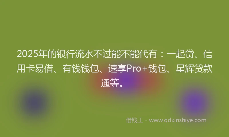2025年的银行流水不过能不能代有：一起贷、信用卡易借、有钱钱包、速享Pro+钱包、星辉贷款通等。