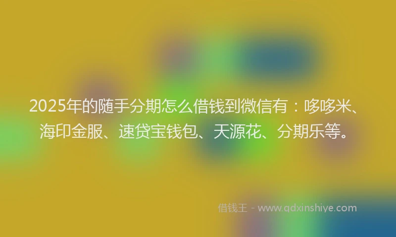 2025年的随手分期怎么借钱到微信有：哆哆米、海印金服、速贷宝钱包、天源花、分期乐等。