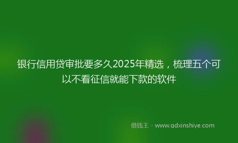银行信用贷审批要多久2025年精选，梳理五个可以不看征信就能下款的软件