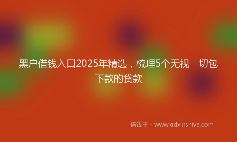 黑户借钱入口2025年精选，梳理5个无视一切包下款的贷款