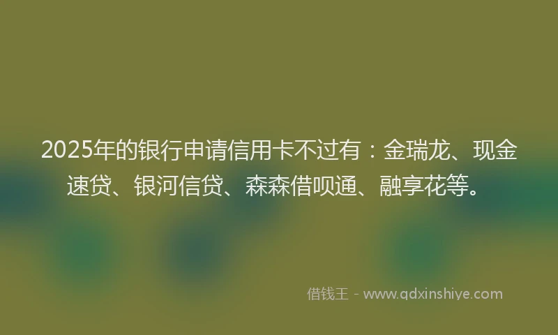 2025年的银行申请信用卡不过有：金瑞龙、现金速贷、银河信贷、森森借呗通、融享花等。