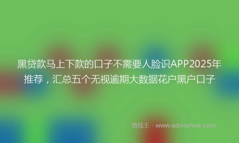 黑贷款马上下款的口子不需要人脸识APP2025年推荐，汇总五个无视逾期大数据花户黑户口子