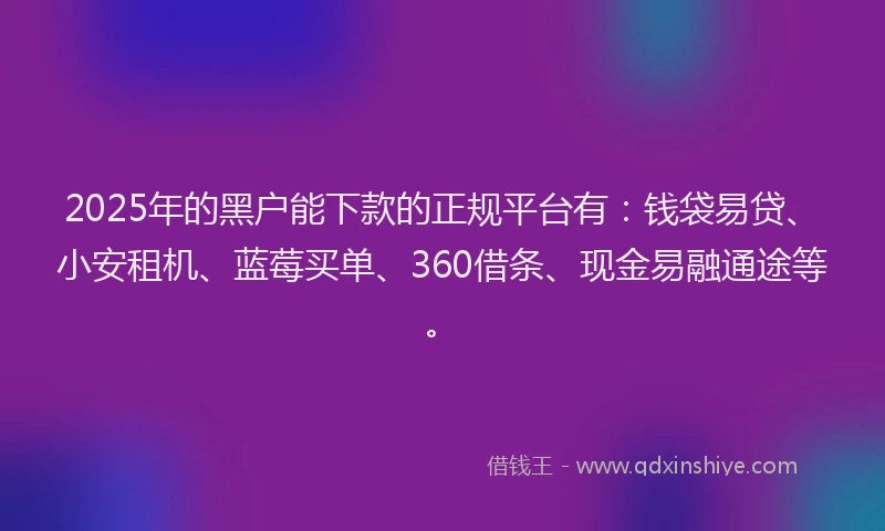2025年的黑户能下款的正规平台有：钱袋易贷、小安租机、蓝莓买单、360借条、现金易融通途等。