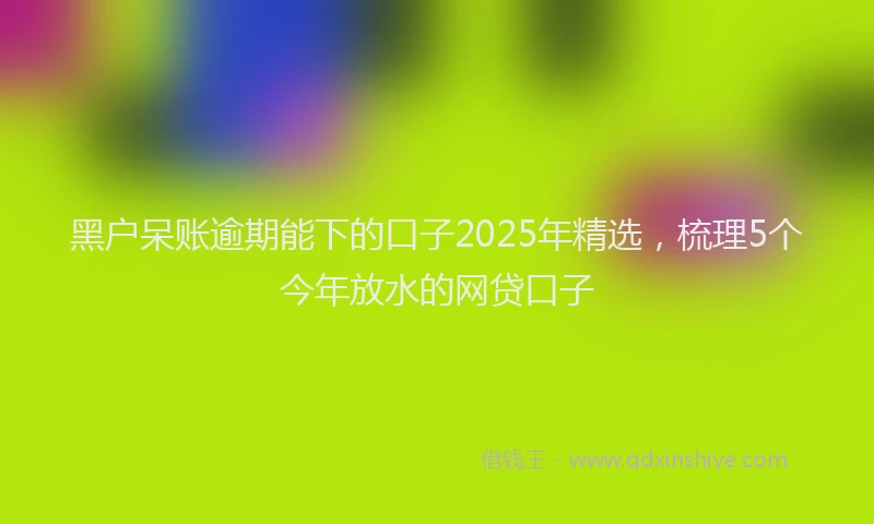 黑户呆账逾期能下的口子2025年精选，梳理5个今年放水的网贷口子