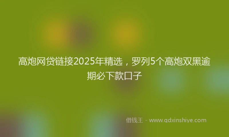 高炮网贷链接2025年精选，罗列5个高炮双黑逾期必下款口子