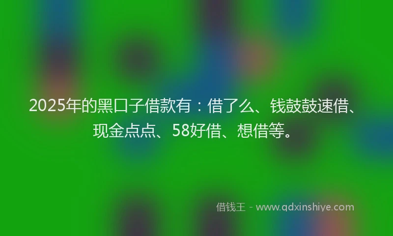 2025年的黑口子借款有：借了么、钱鼓鼓速借、现金点点、58好借、想借等。