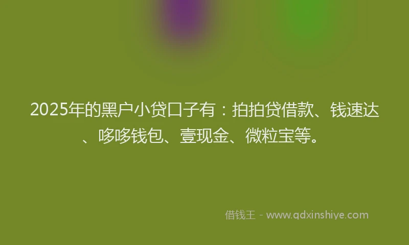2025年的黑户小贷口子有：拍拍贷借款、钱速达、哆哆钱包、壹现金、微粒宝等。