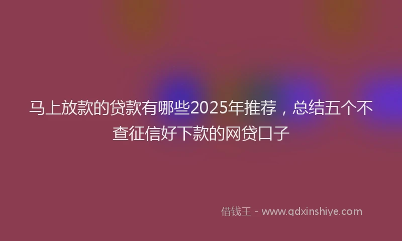 马上放款的贷款有哪些2025年推荐，总结五个不查征信好下款的网贷口子