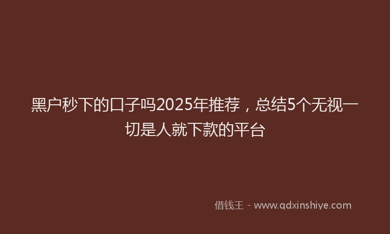 黑户秒下的口子吗2025年推荐，总结5个无视一切是人就下款的平台