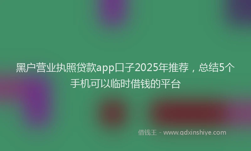 黑户营业执照贷款app口子2025年推荐，总结5个手机可以临时借钱的平台