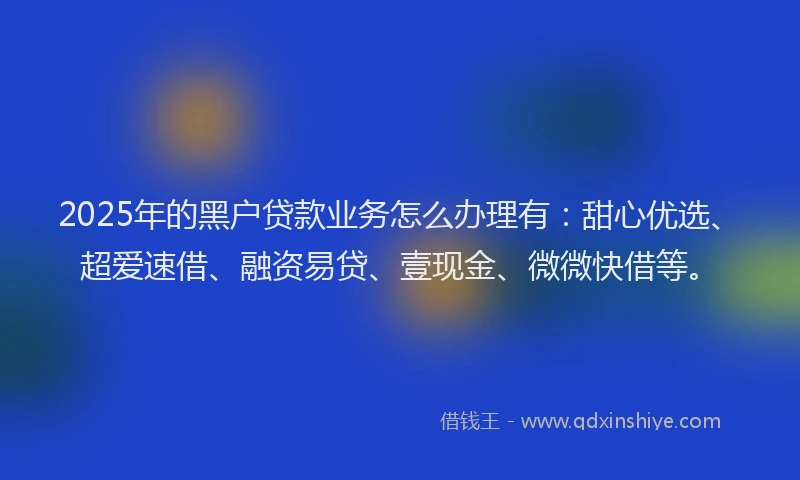 2025年的黑户贷款业务怎么办理有：甜心优选、超爱速借、融资易贷、壹现金、微微快借等。
