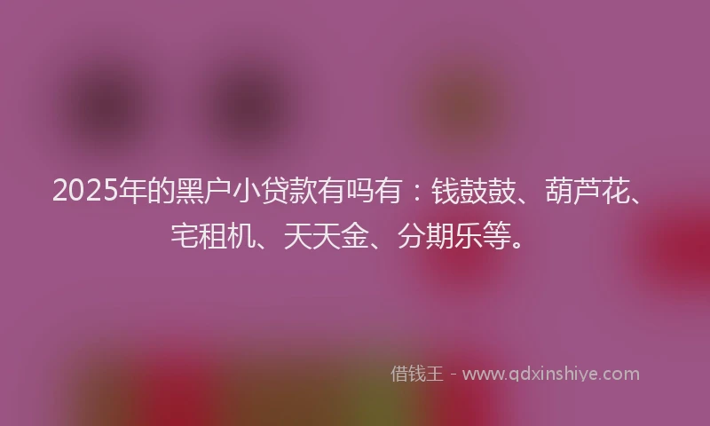 2025年的黑户小贷款有吗有：钱鼓鼓、葫芦花、宅租机、天天金、分期乐等。