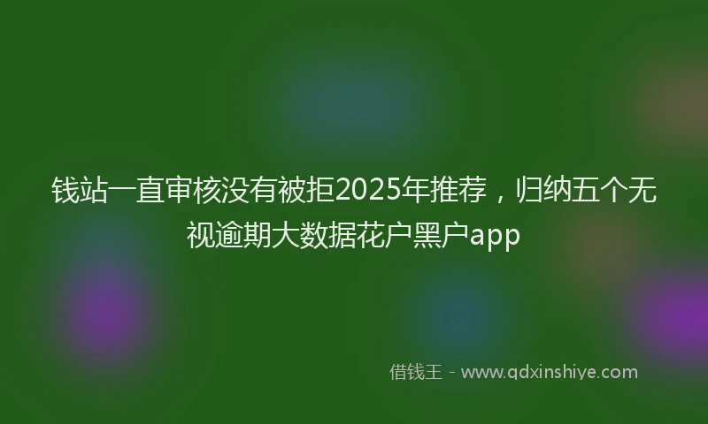 钱站一直审核没有被拒2025年推荐，归纳五个无视逾期大数据花户黑户app