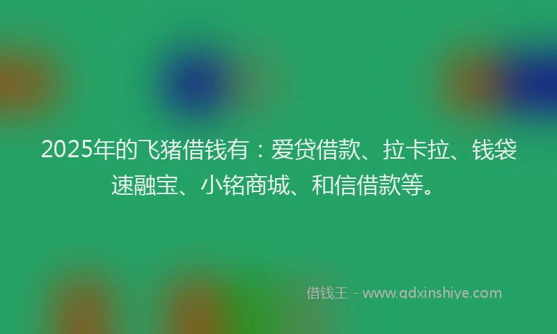 2025年的飞猪借钱有：爱贷借款、拉卡拉、钱袋速融宝、小铭商城、和信借款等。