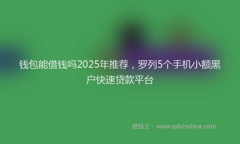 钱包能借钱吗2025年推荐，罗列5个手机小额黑户快速贷款平台