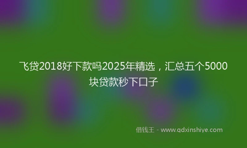 飞贷2018好下款吗2025年精选，汇总五个5000块贷款秒下口子