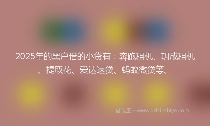 2025年的黑户借的小贷有：奔跑租机、玥成租机、提取花、爱达速贷、蚂蚁微贷等。