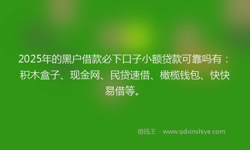 2025年的黑户借款必下口子小额贷款可靠吗有：积木盒子、现金网、民贷速借、橄榄钱包、快快易借等。