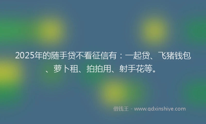 2025年的随手贷不看征信有：一起贷、飞猪钱包、萝卜租、拍拍用、射手花等。