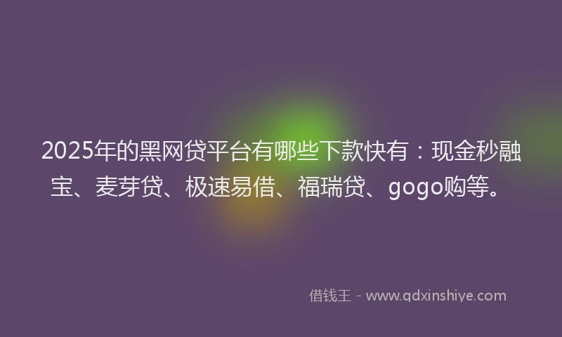 2025年的黑网贷平台有哪些下款快有：现金秒融宝、麦芽贷、极速易借、福瑞贷、gogo购等。