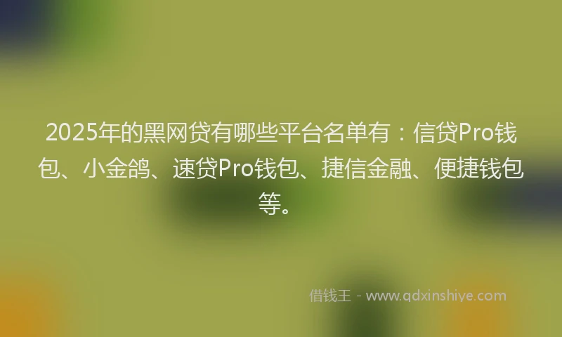 2025年的黑网贷有哪些平台名单有：信贷Pro钱包、小金鸽、速贷Pro钱包、捷信金融、便捷钱包等。