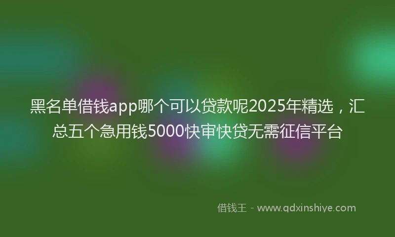 黑名单借钱app哪个可以贷款呢2025年精选，汇总五个急用钱5000快审快贷无需征信平台