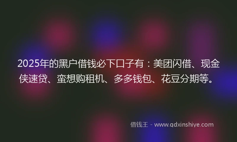 2025年的黑户借钱必下口子有：美团闪借、现金侠速贷、蛮想购租机、多多钱包、花豆分期等。