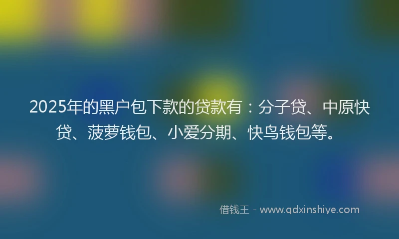 2025年的黑户包下款的贷款有：分子贷、中原快贷、菠萝钱包、小爱分期、快鸟钱包等。