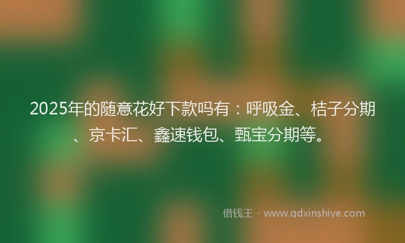 2025年的随意花好下款吗有：呼吸金、桔子分期、京卡汇、鑫速钱包、甄宝分期等。