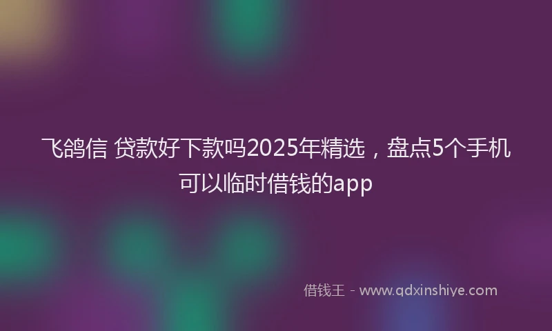 飞鸽信 贷款好下款吗2025年精选，盘点5个手机可以临时借钱的app