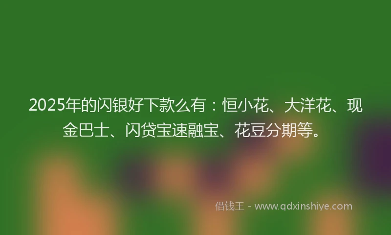 2025年的闪银好下款么有：恒小花、大洋花、现金巴士、闪贷宝速融宝、花豆分期等。