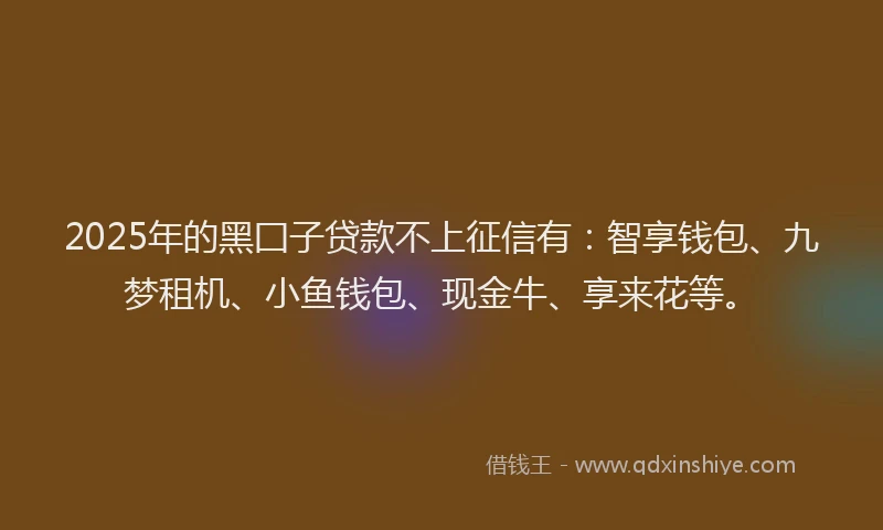 2025年的黑囗子贷款不上征信有：智享钱包、九梦租机、小鱼钱包、现金牛、享来花等。